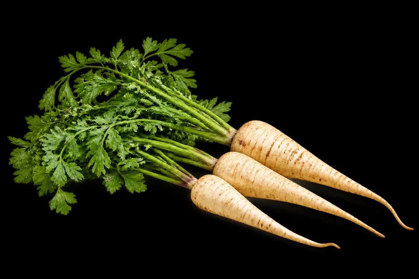 Parsnip